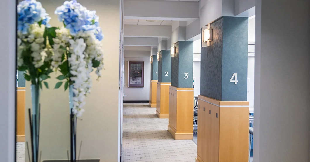 Calm office hallway with flowers and natural light